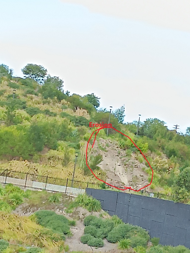 Poor environmetal monitoring at Westconnex St Peters Interchange